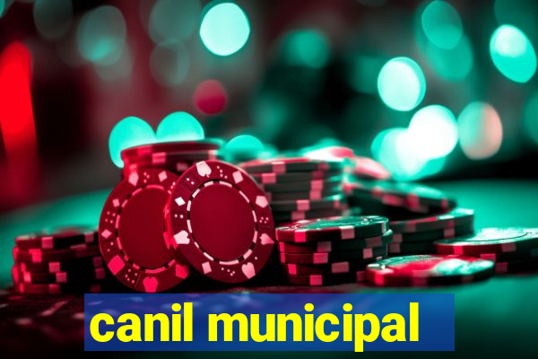 canil municipal